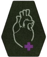 Starfield Wellness Skill